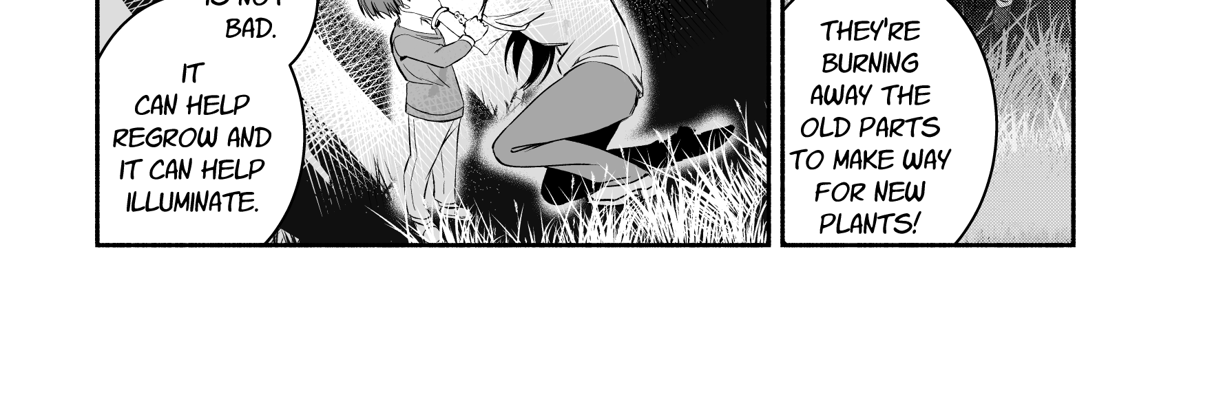 Image 3 Cut
