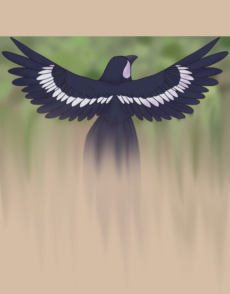 Image 1 Cut