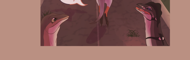 Image 2 Cut