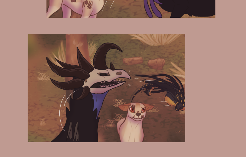 Image 3 Cut