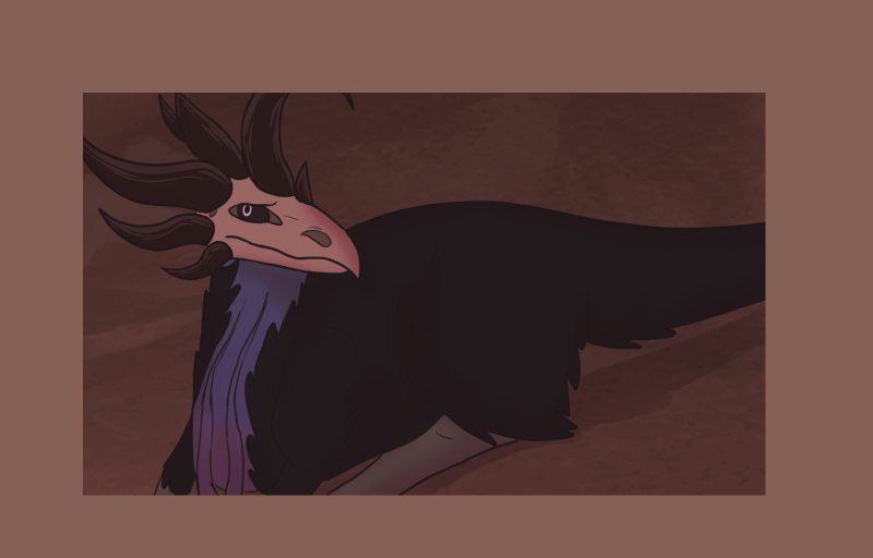 Image 3 Cut