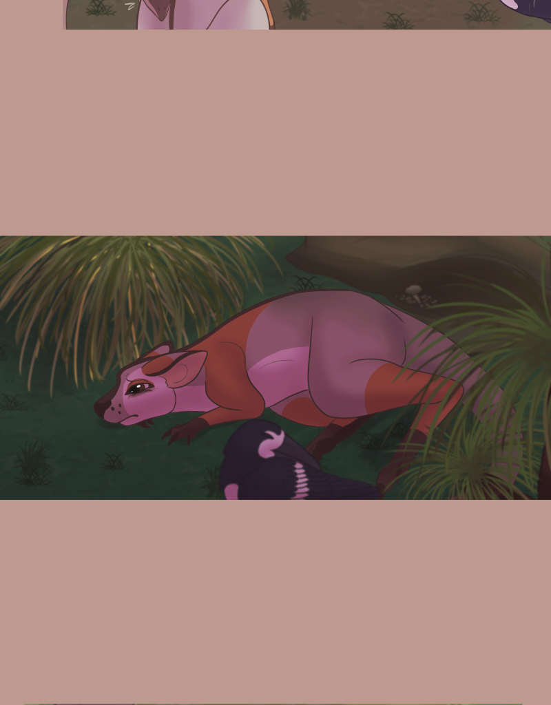 Image 2 Cut