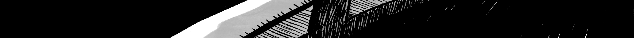 Image 5 Cut