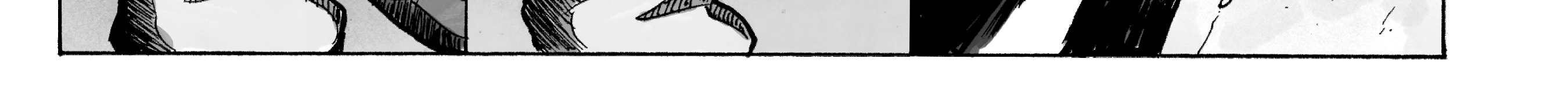 Image 5 Cut