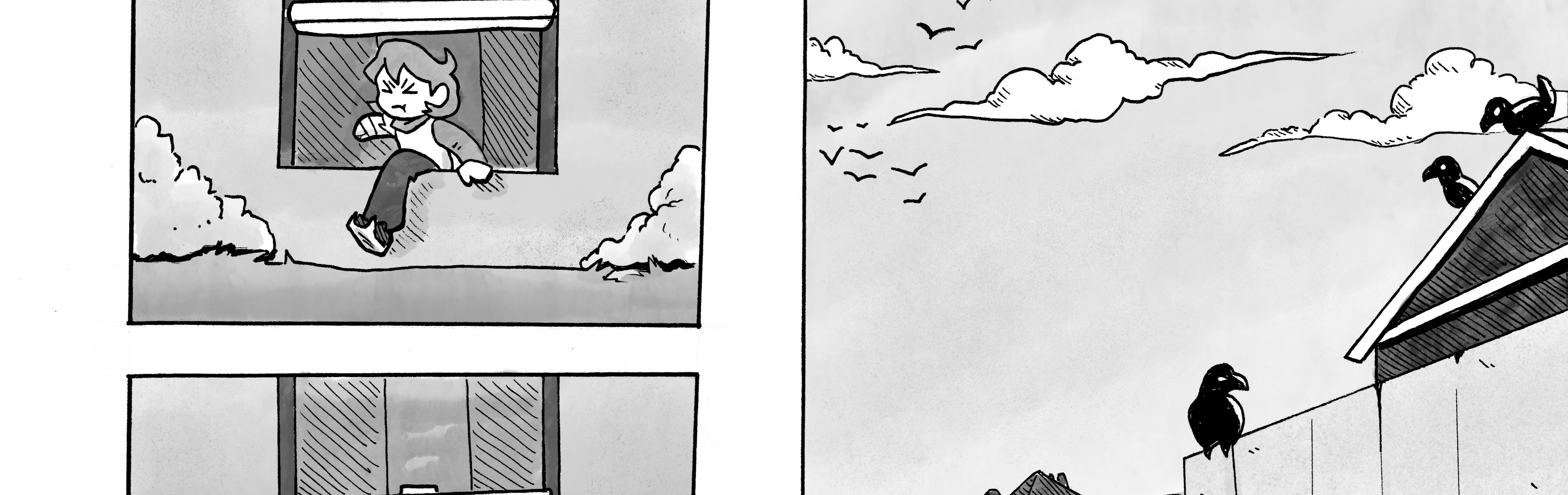 Image 4 Cut