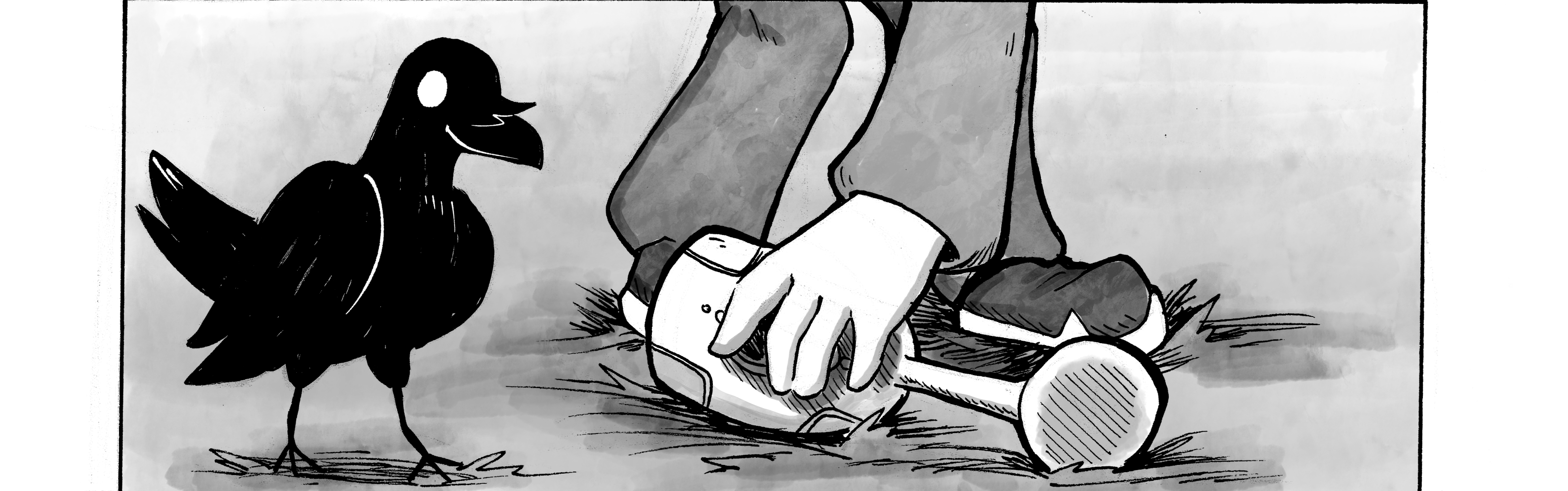 Image 5 Cut