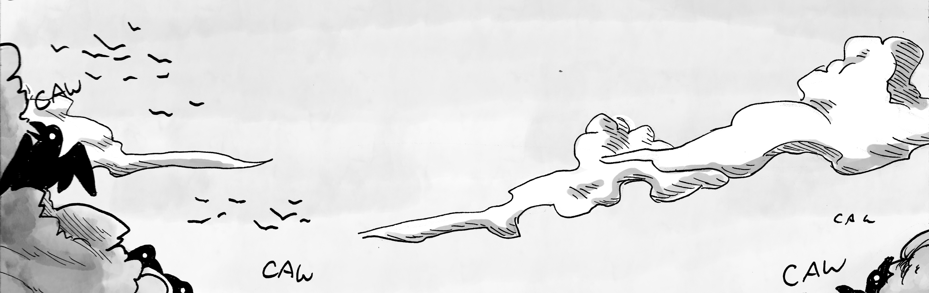 Image 1 Cut