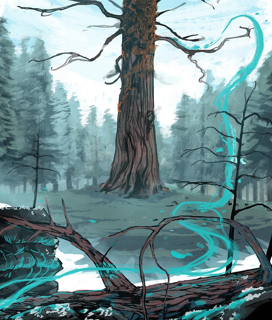 Image 2 Cut