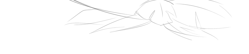 Image 2 Cut