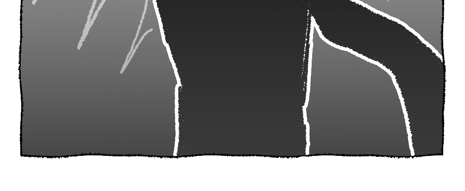 Image 2 Cut