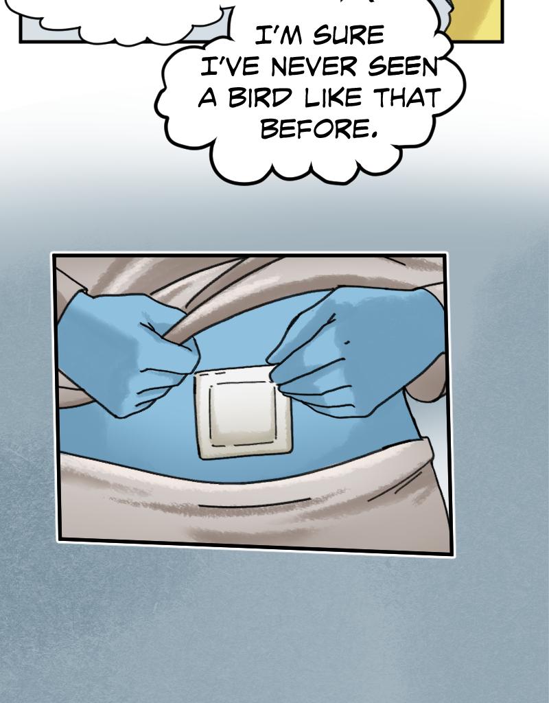Image 4 Cut