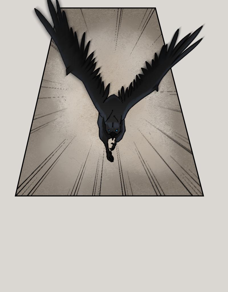 Image 16 Cut