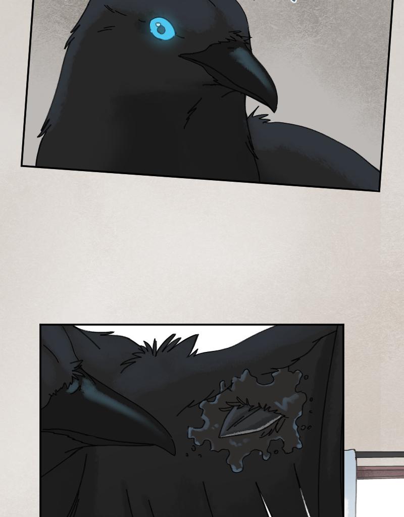 Image 2 Cut
