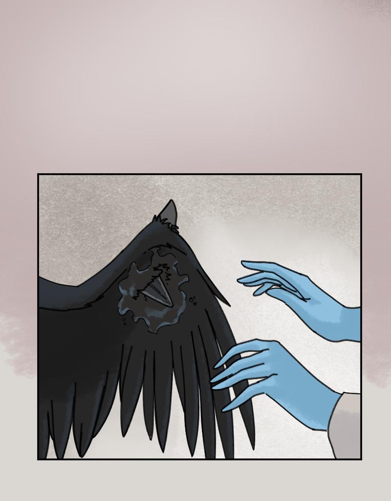 Image 4 Cut