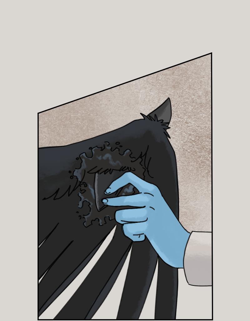 Image 5 Cut