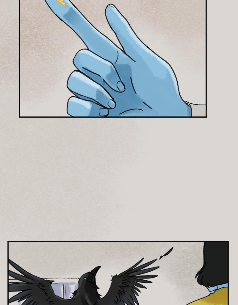 Image 9 Cut