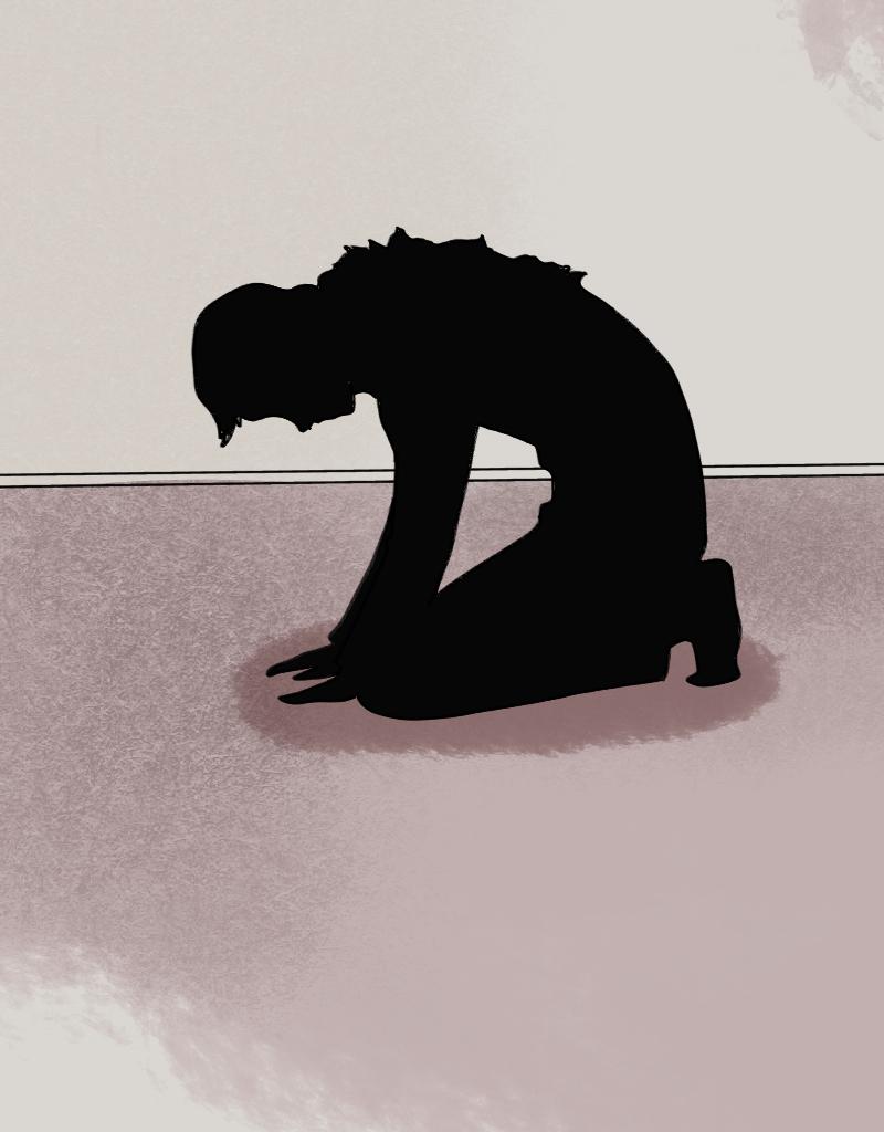 Image 12 Cut