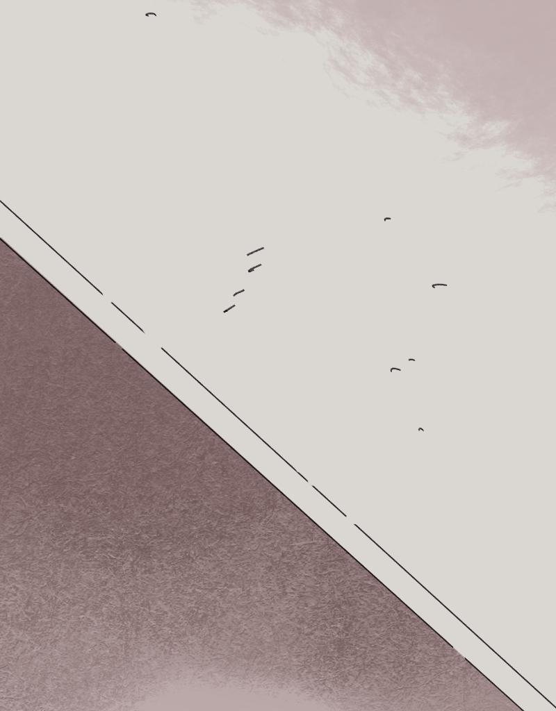 Image 13 Cut