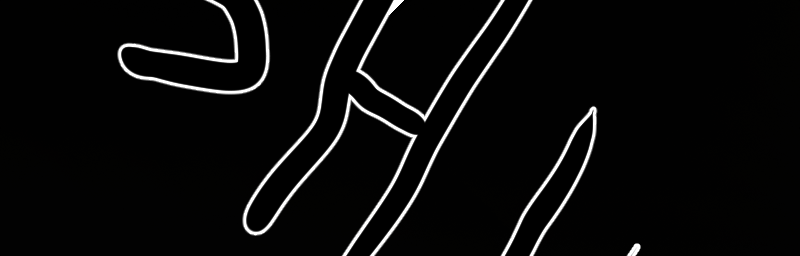 Image 2 Cut
