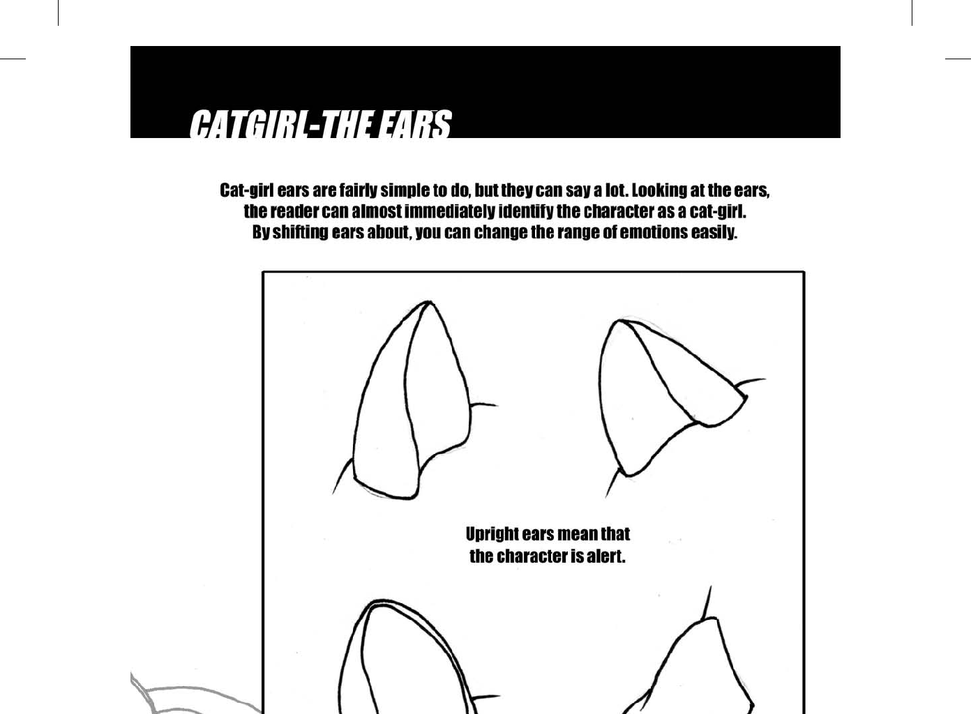Image 1 Cut