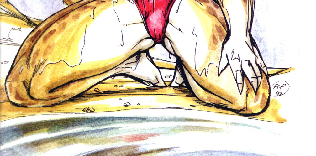 Image 2 Cut