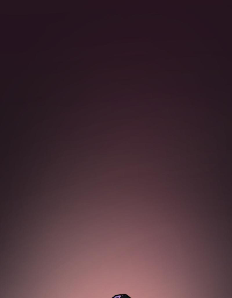 Image 1 Cut