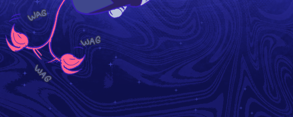 Image 2 Cut