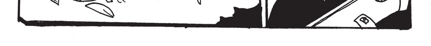 Image 3 Cut