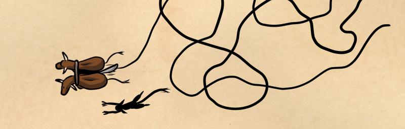 Image 2 Cut