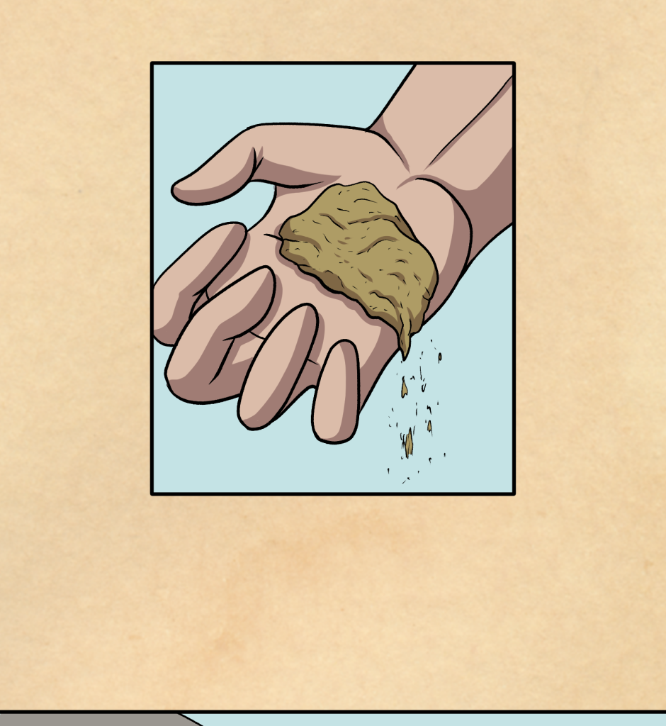 Image 1 Cut