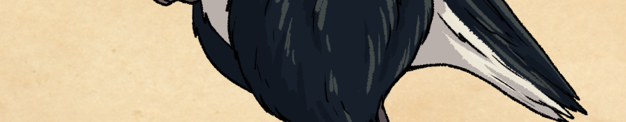 Image 2 Cut
