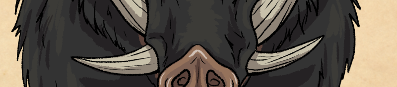 Image 2 Cut