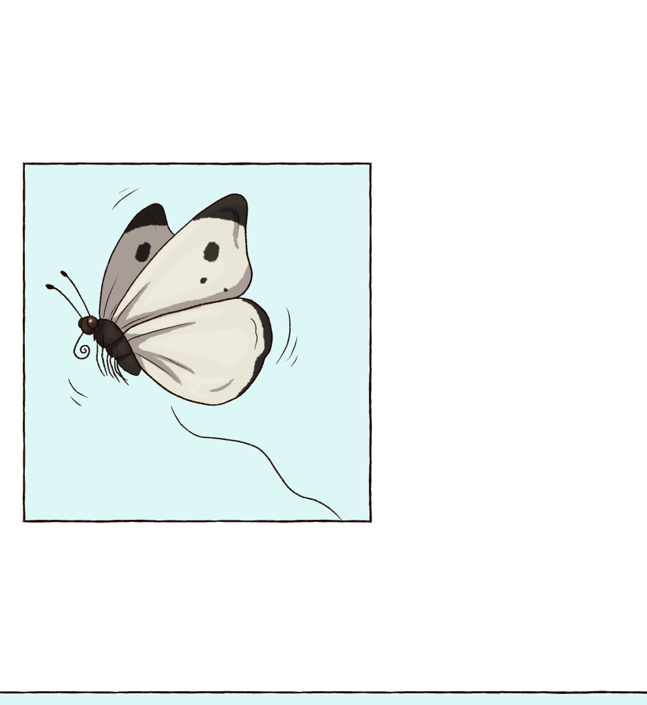 Image 1 Cut
