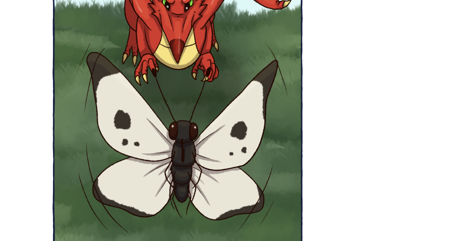 Image 2 Cut