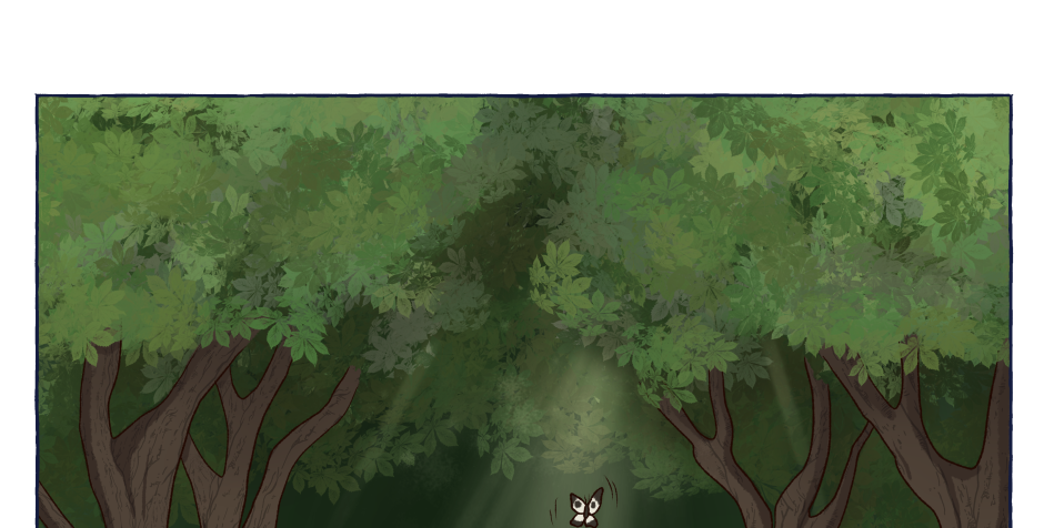 Image 2 Cut