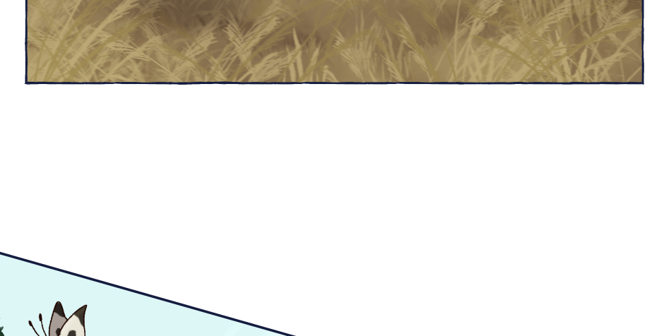 Image 2 Cut