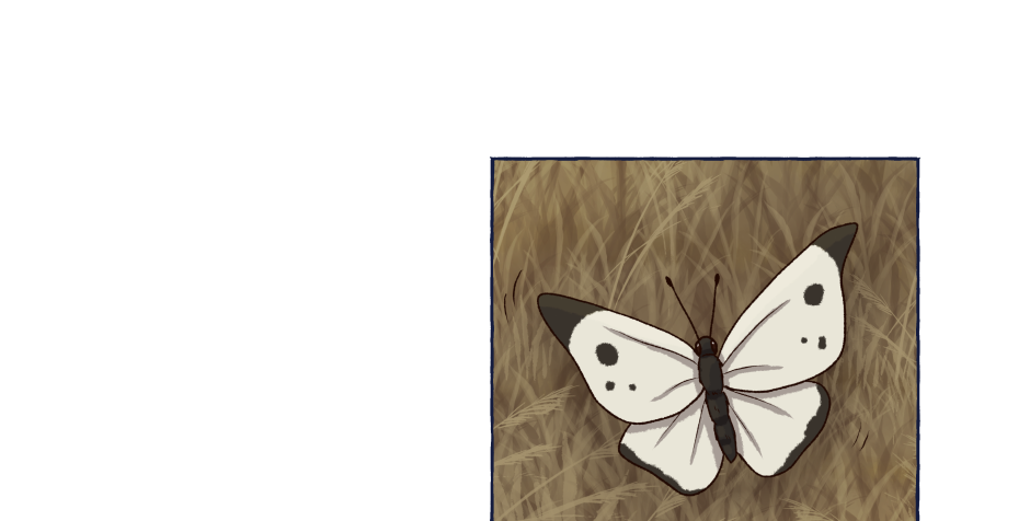 Image 2 Cut