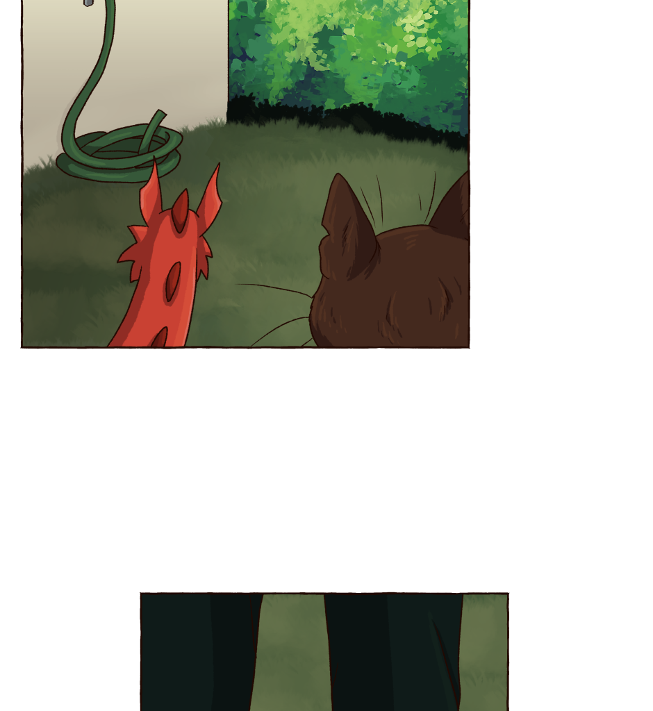 Image 1 Cut