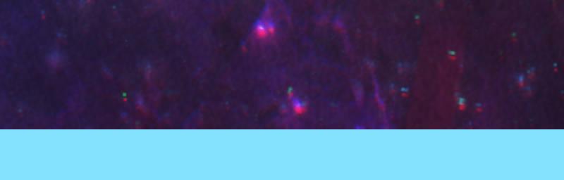 Image 2 Cut