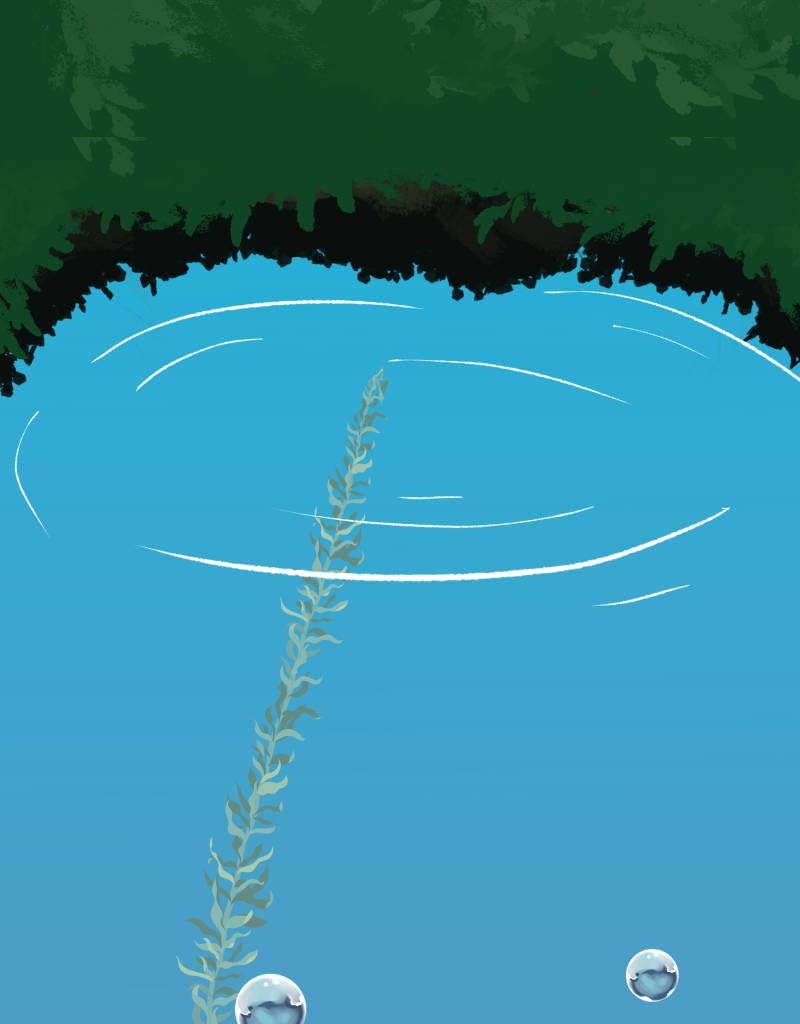 Image 1 Cut