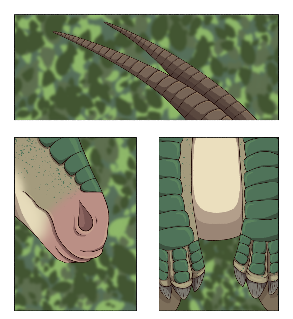 Image 1 Cut