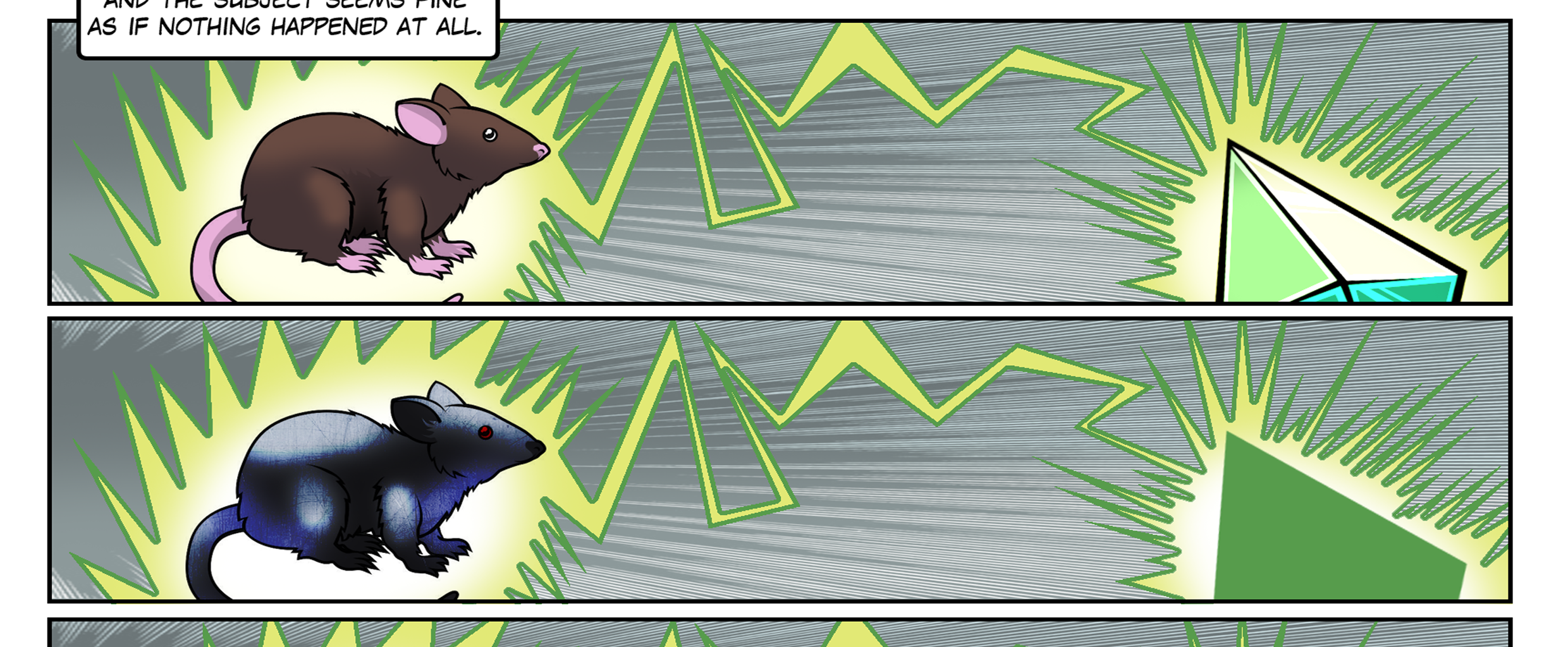Image 3 Cut