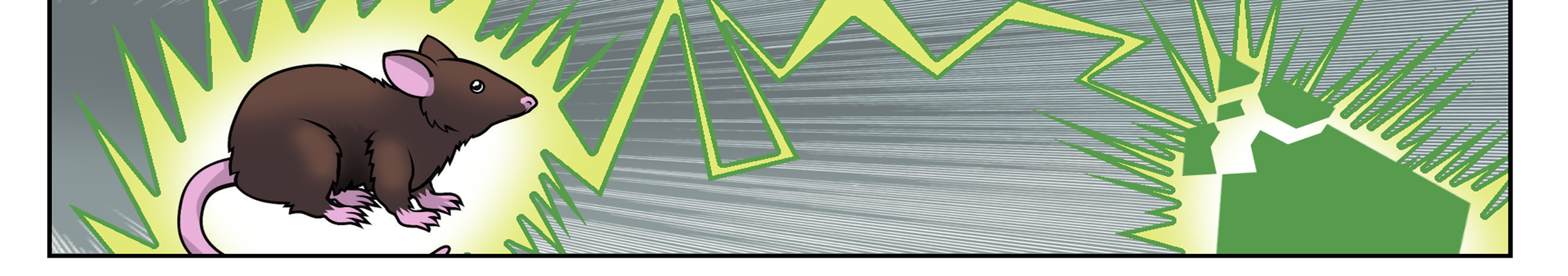 Image 4 Cut