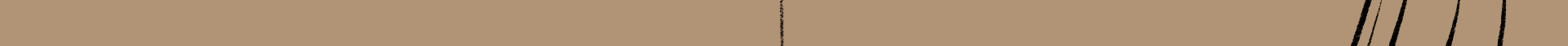 Image 2 Cut