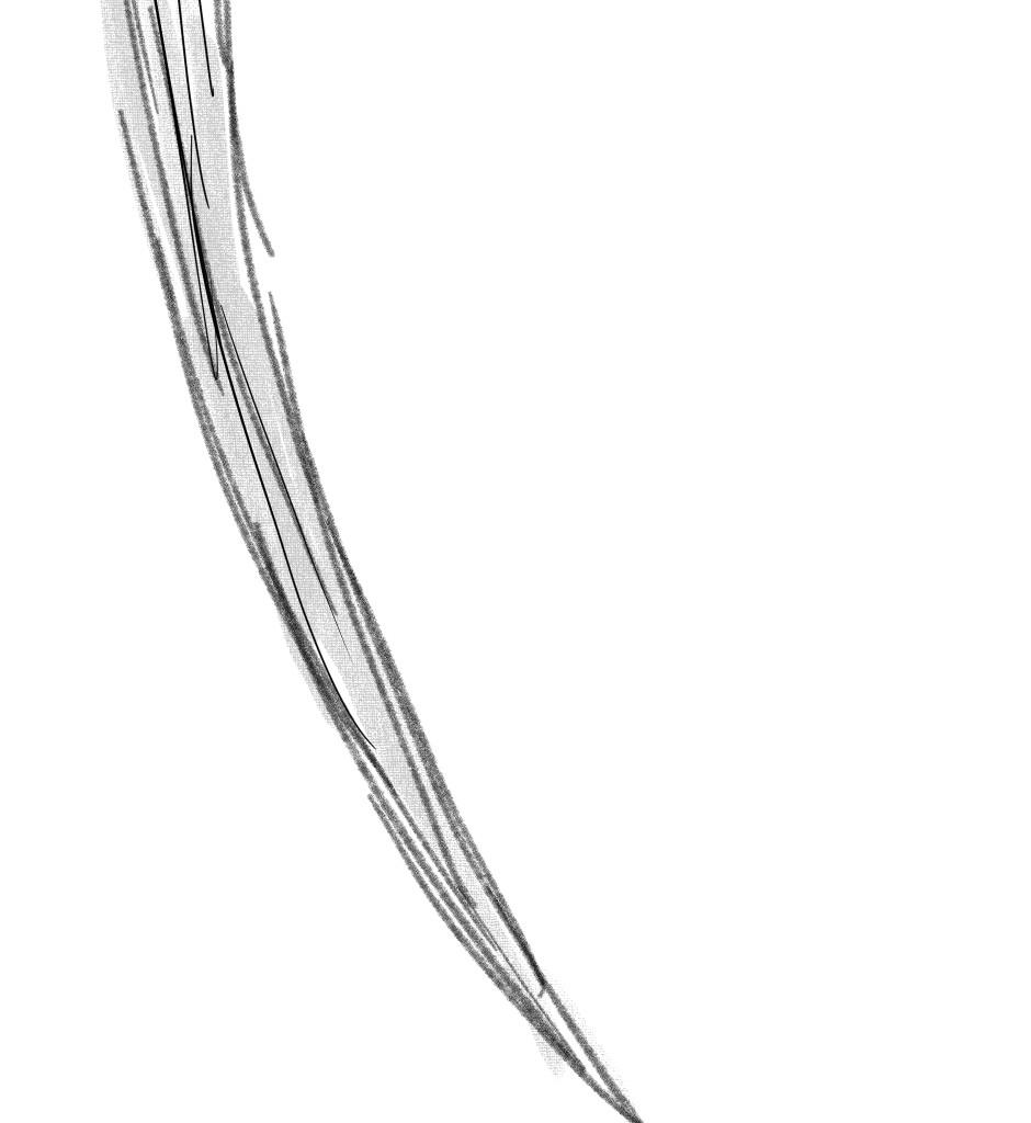 Image 4 Cut