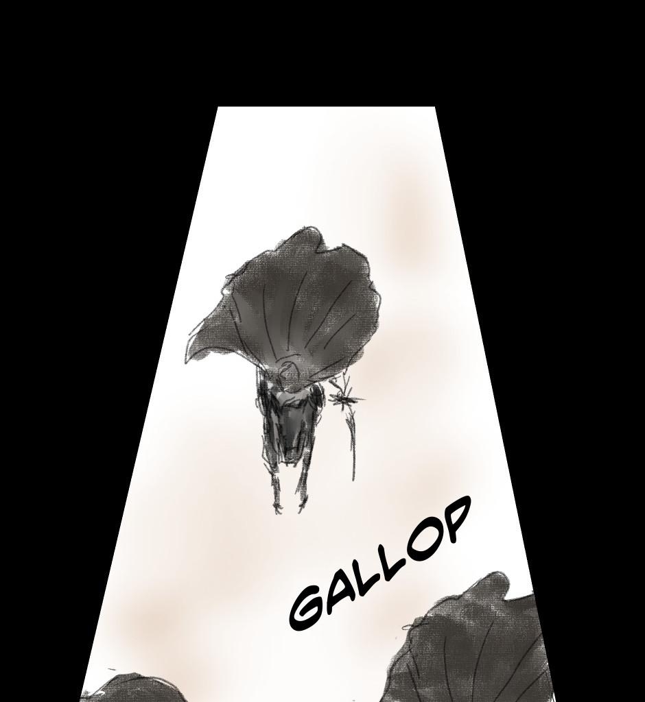 Image 5 Cut