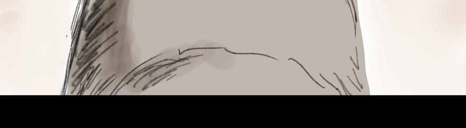 Image 10 Cut