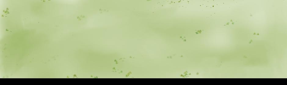 Image 3 Cut