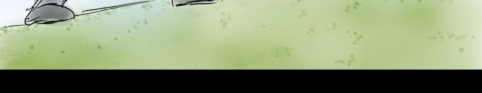 Image 3 Cut
