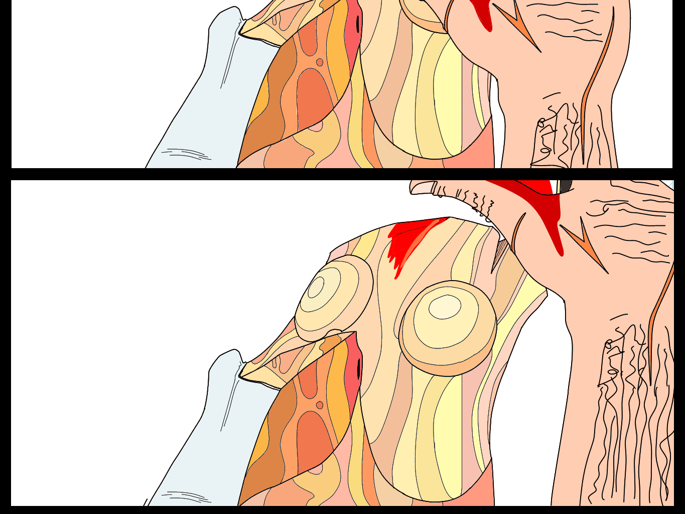Image 2 Cut